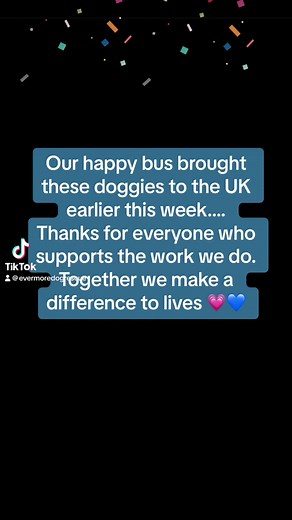 Happy endings DO exist! | EverMore Dog Rescue