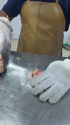 1.3M views · 6.7K reactions | Hello Facebook Team I regularly create...