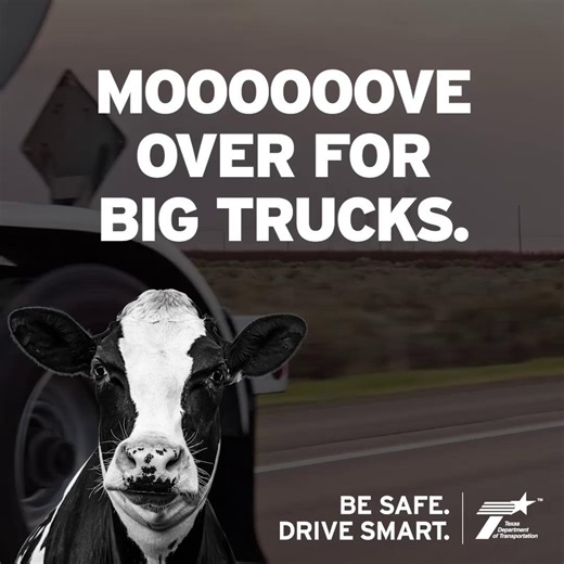 10K views · 91 reactions | MOO-VE over! Safe driving tips coming through! Driving in areas with lots of oil and gas activity can be uniquely challenging, so be extra careful sharing busy roads with trucks and heavy machinery. Give large trucks plenty of space, be patient, avoid tailgating and pass trucks only when it’s safe. #BeSafeDriveSmart #DriveLikeATexan | Texas Department of Transportation | Facebook