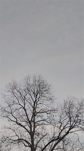 Q17zbj (@zacharybrooksjohnson)’s videos with Supernatural Ambient_UMA, UFO, Ghost, Haunted, Doomsday Prophecies, Alien Encounters, Life After Life, Bermuda Triangle, Psychic(1094836) - Ney