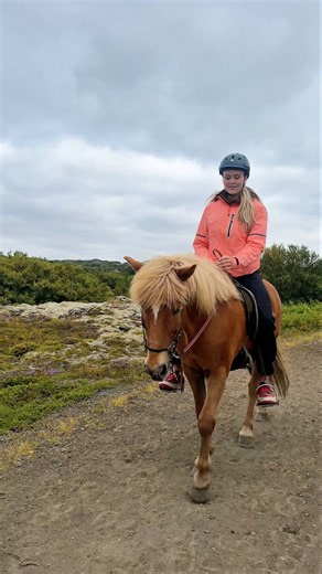 Horseback riding in Iceland 🇮🇸🐴 Definitely one for the Iceland bucket list.