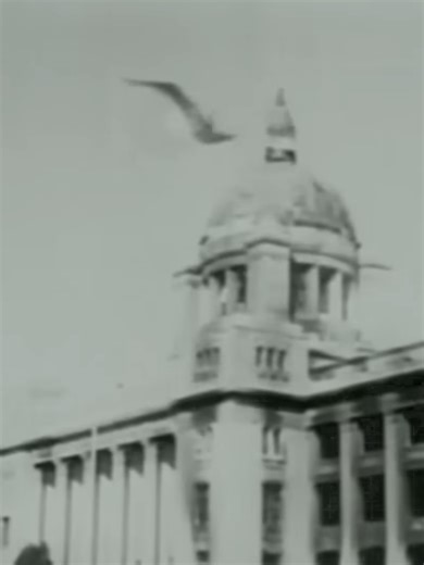 国連軍の反撃とインチョン上陸作戦の影響