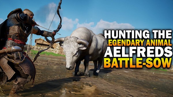 Assassin’s Creed Valhalla: Hunting Aelfred’s Battle Sow Legendary Animal