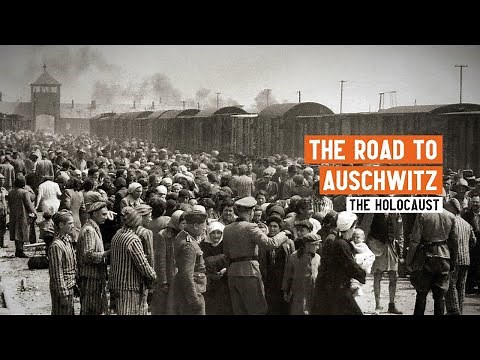 Origins of the Holocaust | Intentionalism and Functionalism | Professor Dan Stone