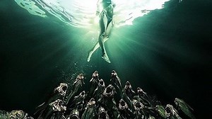Пираньи 3DD (Piranha 3DD) ужасы, триллер, комедия,