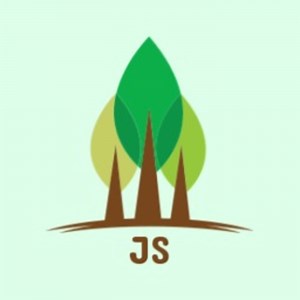 L'Histoire tumultueuse de JavaScript - JavaScript en forêt