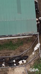 5.3K views · 57 reactions |  Experience the efficiency and comfort...