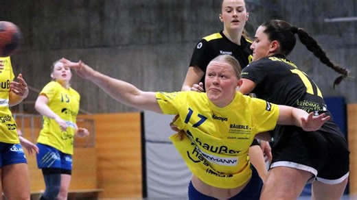 Handball SV Leonberg/Eltingen: Wildcats mühen sich zum knappen Sieg über das Schlusslicht