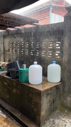 18K views · 340 reactions | Summary of winter or rainy season?? | Cha Day 24 | Facebook