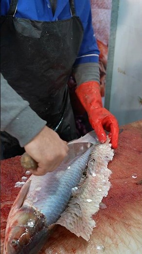 How to Cut and Skin Fish Like a Market Fishmonger