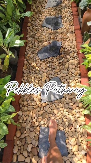 JibinSebastin on Instagram: "A stone and pebbles pathway, gently framed by lush foliage 🌿😍 #home #pathway #gardening #makeover #diy"