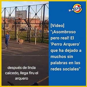 28K views · 975 reactions | En Colombia, un simpático perro se ha...