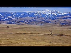 SeeJH.ai: Elk Refuge Timelapse - December 13, 2025
