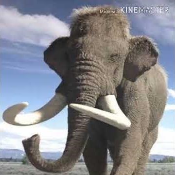 Mammoth Trumpet 🐘 🔊