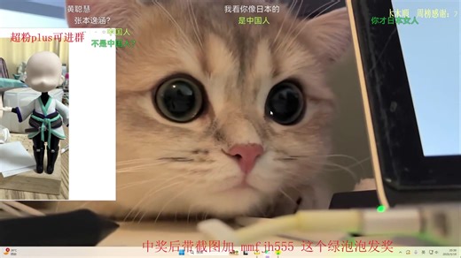 【猫猫】2025年05月19日 弹幕直播回放