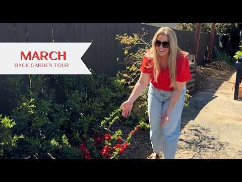 Back Garden Tour 🌸 Blooms, Buds & Big Plans for Spring!