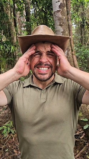 2.9M views · 133K reactions | West Papua  #deforestation #rainforest #papua #indonesia | Indiana José | Facebook