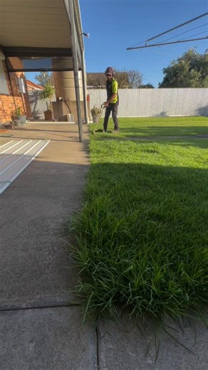 Nothing finishes a lawn like clean, sharp edges 👌🌱 #shortsvideo
