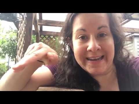 Chickens in the Rain - Dangerous or Not?