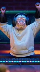 monkey pc chalha raha hai