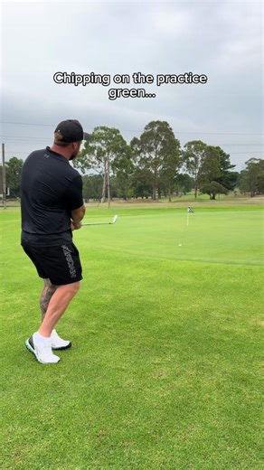 Practice Greens vs Real Greens: Key Differences in Golf