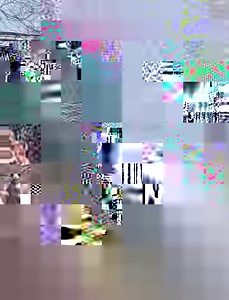 53K views · 629 reactions | Ostrich VS Giraffe | Nathalia Melo | Facebook