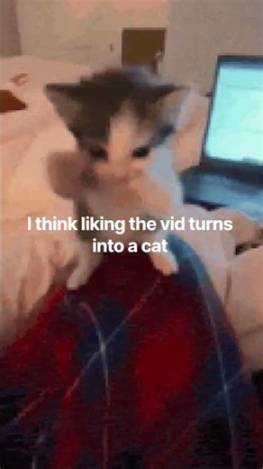 try it for ur self #viralvideo