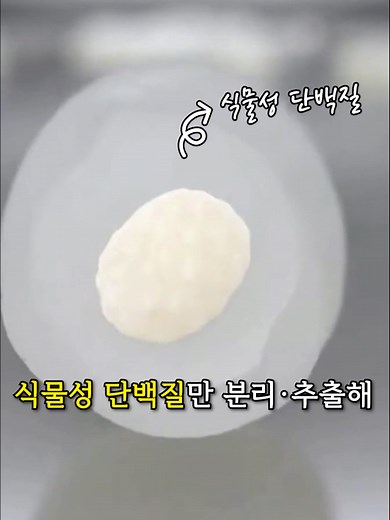 단백질쌀: 건강한 고단백 식단의 선택