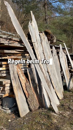 83K views · 267 reactions | Regeln beim Trocknen von Bohlen: Pro Zentimeter Dicke des Holzes muss es ein Jahr trocknen. Es darf keine Sonne daran kommen, sonst gibt es Risse. Das Holz muss richtig stehen und abgedeckt sein, um optimal zu trocknen. ️ Hast du Fragen zum Trocknungsprozess von Holz? Teile sie in den Kommentaren! #schreinereibressler #holzverarbeitung #trocknung #handwerkskunst #maßarbeit | Schreinerei Bressler | Facebook