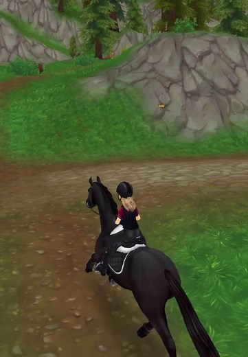 From yesterday’s training! Do you think we made it?🖤 #fy#rrp#trakehner