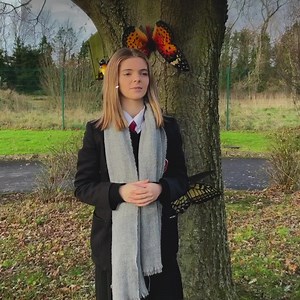 34K views · 731 reactions | Special sign language Christmas carol video recorded by school pupils spreads festive cheer https://bbc.in/3Ej9YUm | BBC News NI | Facebook