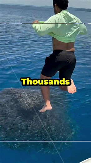 He Tried Catching Fish With His Shirt And THIS Happened#tiktok #shorts #fyp #usa