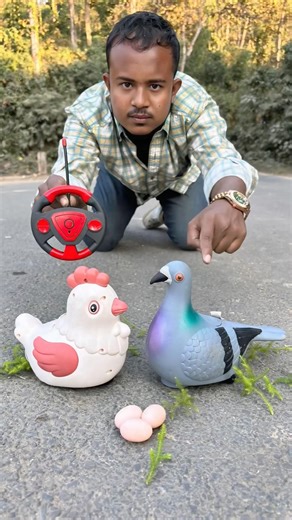 Egg ki Chicken🐔And Remote Control Rc Pigeon Birds 🐦
