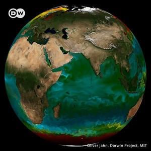2.3K views · 34 reactions | The ocean as we know it is likely to change color by 2100 – in a world warmed by climate change  | DW Environment | Facebook