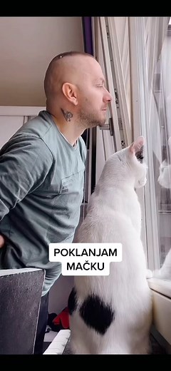 Poklanjam mirnu mačku