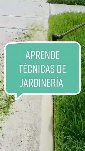 #tipsdejardineria #paisajismo #jardineria #jardinagem #trucosdejardineria #jardin #jardineriaencasa