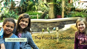 The Parakeet Garden - Science Museum of Western Virginia