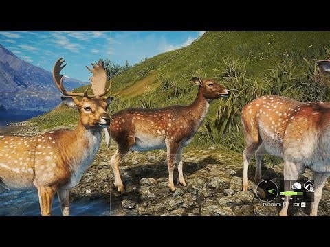 How to do money Glitch hack in hunter call of the wild 2024