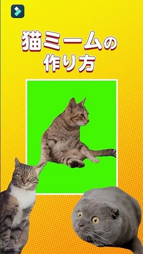 大流行！猫ミームの作り方｜Wondershare Filmora #shorts