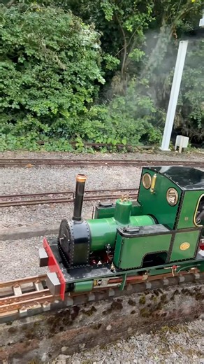 HIGH SPEED! This Miniature Narrow Gauge Steam Train Is Flying 🚂💨 #MiniatureRailway