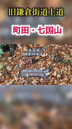 旧鎌倉街道上道・七国山【#shorts 】