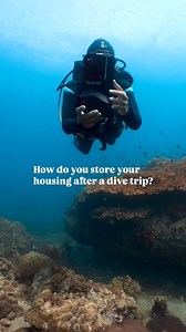 How to Properly Store Your Underwater Housing After a Dive Trip: A...