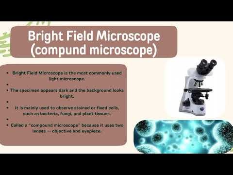 Light Microscope Explained | Bright Field Microscope | B.Sc 2nd Year Microbiology Lecture