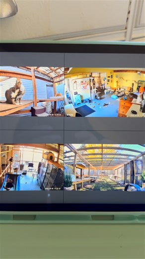 44 reactions · 6 comments | We ❤️ our @wyze camera system | Cat Trap Fever of Ionia County- Michigan | Facebook