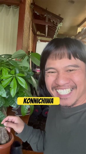 Kore wa nan desu ka?