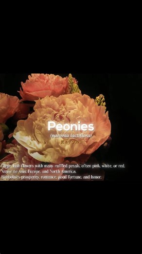 ✩°🍎 lamia 🍄𖦹 ₊˚ on Instagram: "part 2 ☆ ft. ur suggestions