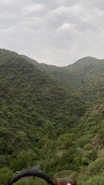 Exploring the Art of Tea Brewing in Nature