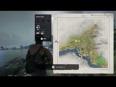 playing Vigor online