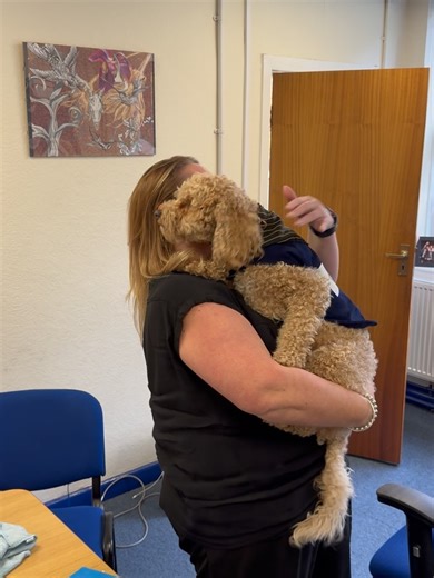 Lode Heath School on Reels