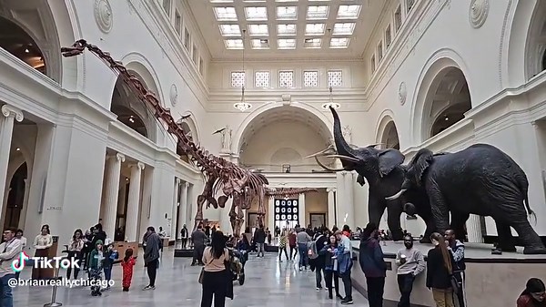 The Field Museum of Natural History (FMNH), also known as The Field Museum, is a natural history museum in Chicago, Illinois, and is one of the largest such museums in the world.[4] The museum is popular for the size and quality of its educational and scientific programs,[5][6] and its extensive scientific specimen and artifact collections.[7] The permanent exhibitions,[8] which attract up to 2 million visitors annually, include fossils, current cultures from around the world, and interactive pr